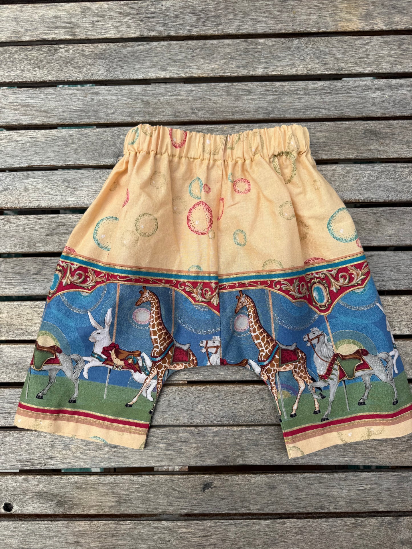 12-18 mo Carousel